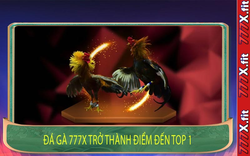 Đá Gà 777X Trở Thành Điểm Đến Top 1