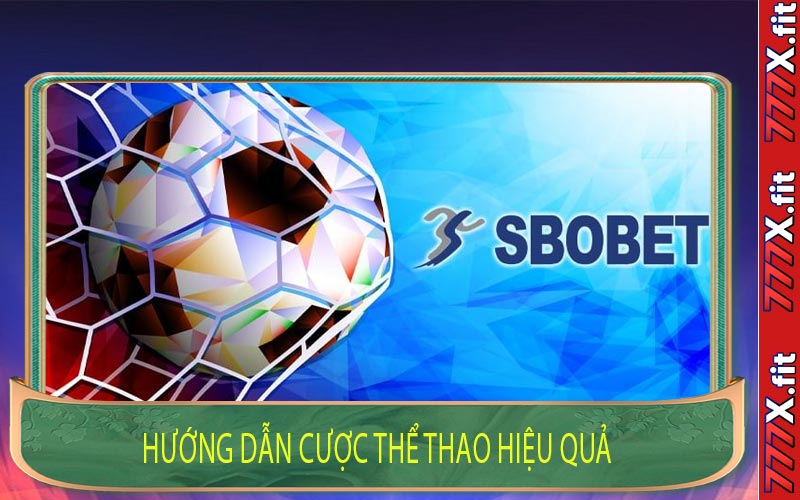 Hướng Dẫn Cược Thể Thao Hiệu Quả